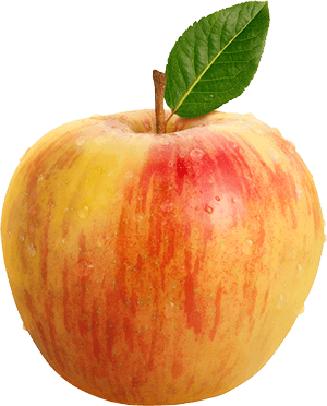 Fresh red and yellow apple with leaf