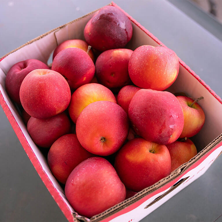 Box filled with fresh red apples