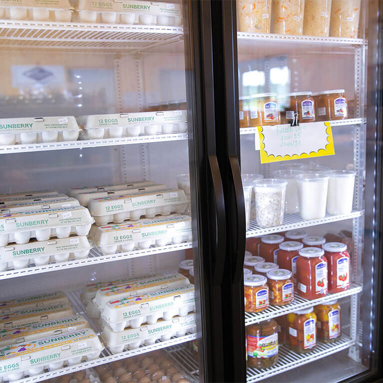 Refrigerator stocked with eggs, sauces, and dairy products