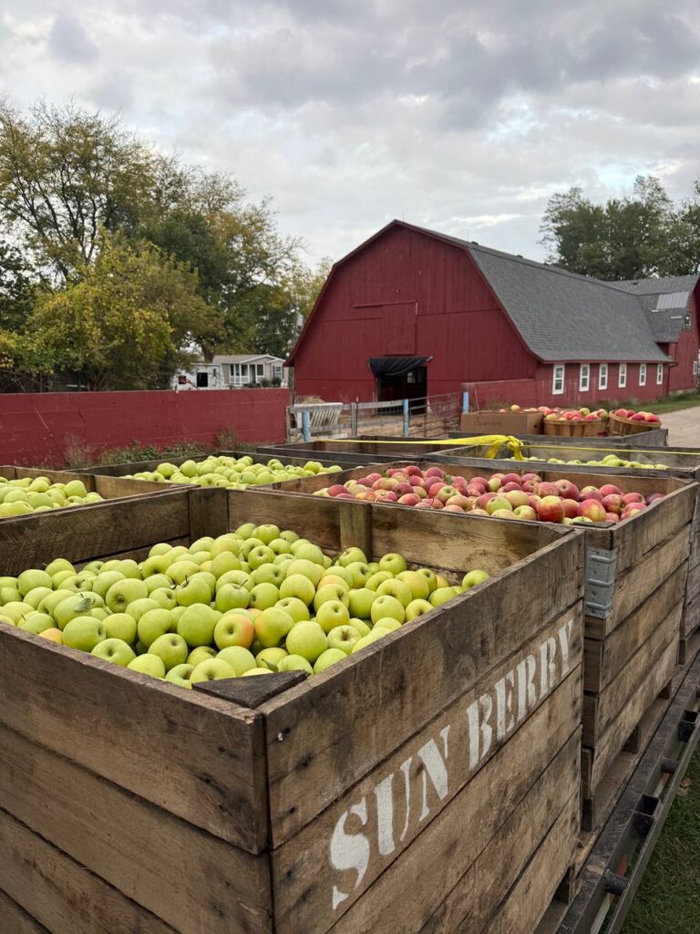Crates of apples near a red barn farm