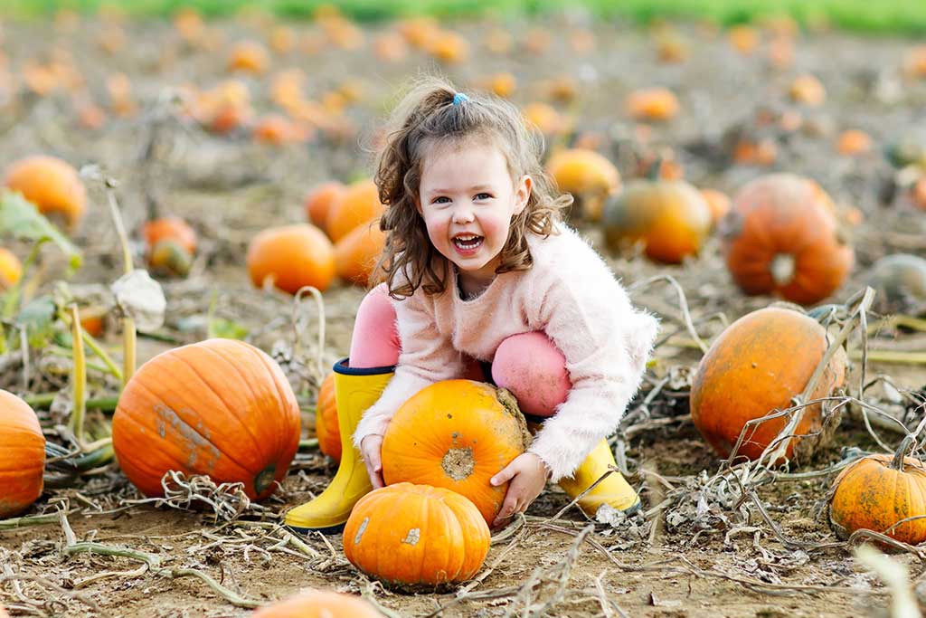 Smiling child picking pumpkins in a field