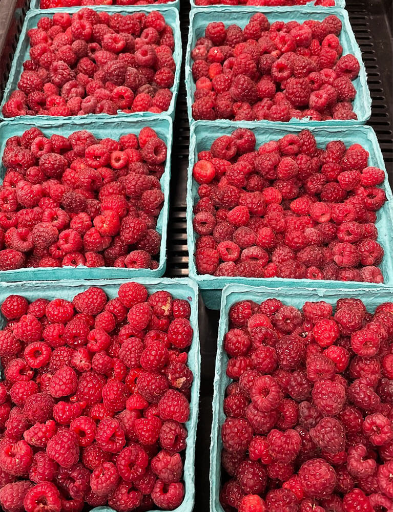 Fresh raspberries in blue cartons at market