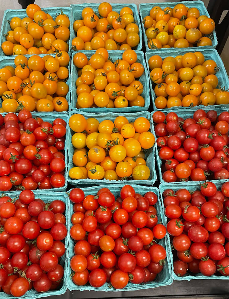 Baskets of fresh red and yellow cherry tomatoes
