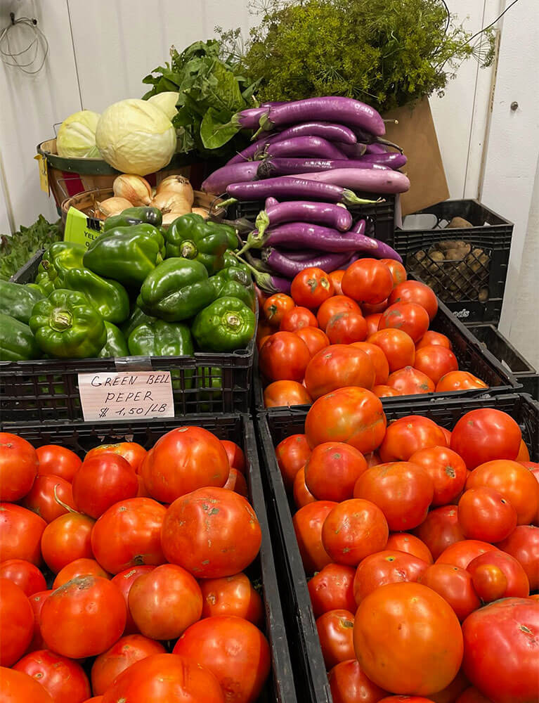 Fresh tomatoes, peppers, and eggplants at a market